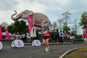 BIB: 
                            <button type="button" onclick="openModal(26528906)" class="btn btn-primary btn-sm float-right btn-popup" data-toggle="modal" data-target=".modal-high-quality">
                        <i class="fas fa-shopping-cart"></i> Add to Cart
                    </button>
                                            <button type="button" onclick="isThisMe(26528906, true)" class="btn btn-success btn-sm float-right btn-popup btn-isme hidden" data-toggle="tooltip" data-placement="bottom" title="นี่คือรูปของคุณใช่ไหม คลิกที่นี่เพื่อเอาเข้าอัลบั้ม">
                        <i class="fas fa-plus"></i> Add to album
                    </button>
                    <button type="button" onclick="isThisMe(26528906, false)" class="btn btn-warning btn-sm float-right btn-popup btn-isnotme hidden">
                        <i class="fas fa-ban"></i> Remove from album
                    </button>